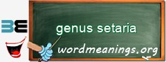 WordMeaning blackboard for genus setaria
